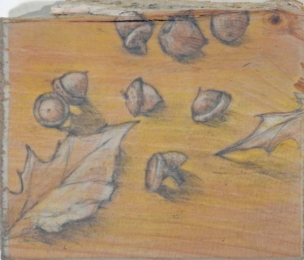 Carol Binns-Wood: Acorns from Desert Lake