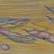 Carol Binns-Wood: "Beans from Our Garden"