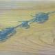 Carol Binns-Wood: "Blueberry Marijuana from Our Garden"