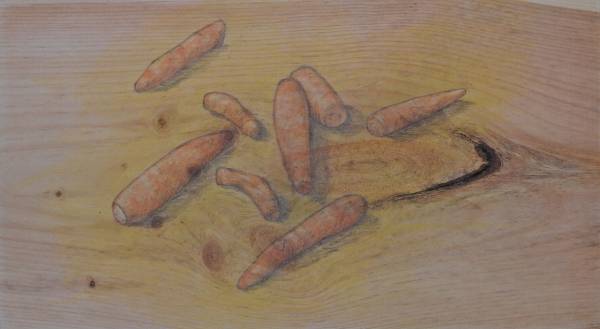 Carol Binns-Wood: "Carrots from Linette's and Sean's Garden"
