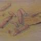 Carol Binns-Wood: "Carrots from Linette's and Sean's Garden"