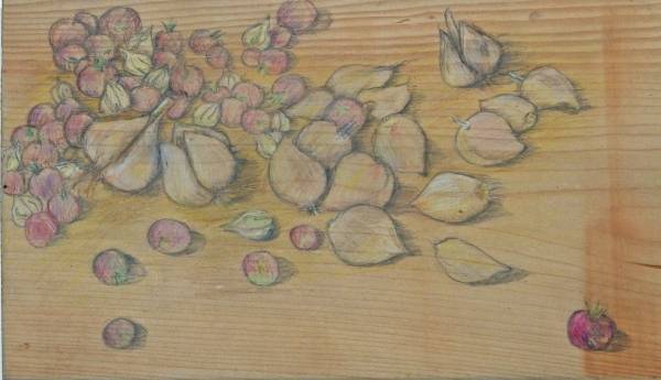 Carol Binns-Wood: "Garlic, Ground Cherries and Tomatoes from Our Garden"