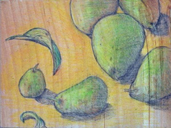 Carol Binns-Wood: Pears from Our Garden