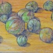 Carol Binns-Wood: Tomatillos from Our Garden