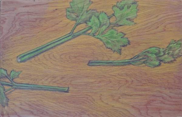 Carol Binns-Wood: Celery from Bruce and Gary's Garden